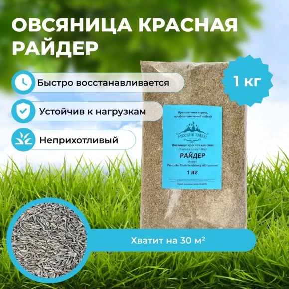 Овсяница красная Райдер 1 кг