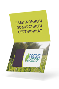Электронный подарочный сертификат на 1000 рублей