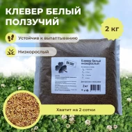 Клевер белый ползучий, 2 кг