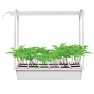 Набор UNIEL Минисад. Cветильник для растений светодиодный с подставкой. Спектр для фотосинтеза. 12 кашпо Набор UNIEL Минисад. Cветильник для растений светодиодный с подставкой. Спектр для фотосинтеза. 12 кашпо