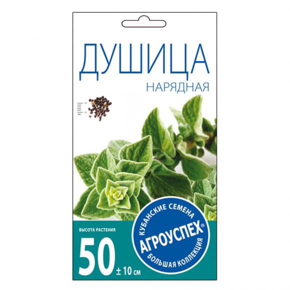 Душица Нарядная обыкновенная