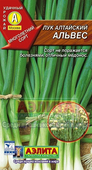 Лук алтайский Альвес многолетний 
