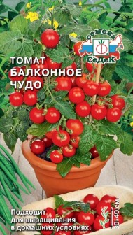 Томат Балконное чудо тип черри  Томат Балконное чудо тип черри
