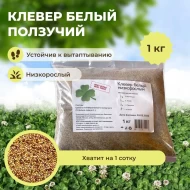 Клевер белый ползучий, 1 кг Клевер белый ползучий, 1 кг